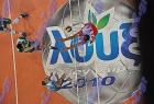 2010final_403