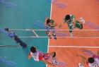 2010final_433