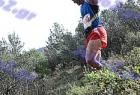 mr_Ymittos_342