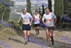 mr_Ymittos_366