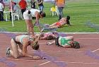 syntheta_509