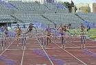 Patra_A_tel_0250
