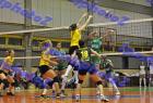 PAO-AEK_196