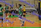 PAO-AEK_229