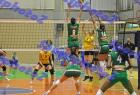 PAO-AEK_367