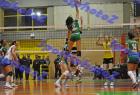 PAO-AEK_383