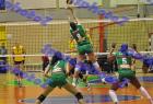 PAO-AEK_393