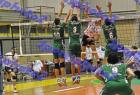 PAO-EAP_231