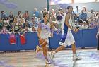 Boyla_Terpsithea_295