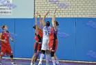 Boyla_Terpsithea_326