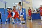 Boyla_Terpsithea_613