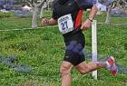 cross_0984