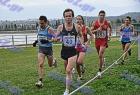 cross_0988