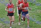 cross_1012