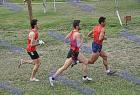 cross_1014