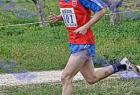 cross_1019