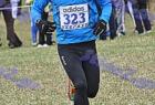 cross_1028