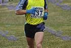 cross_1071