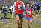 cross_1076