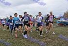 cross_1124