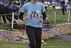 cross_1134