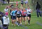 cross_1142