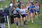 cross_1146
