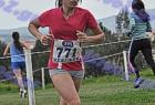 cross_1296