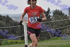 cross_1297