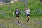 cross_1321