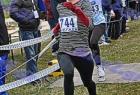 cross_1343