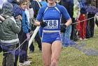 cross_1377