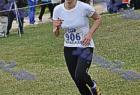 cross_1388