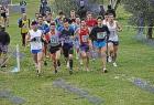 cross_1416