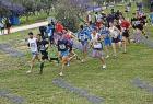 cross_1420