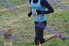 cross_1426
