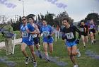 cross_1433
