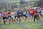 cross_0237