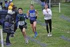 cross_0268