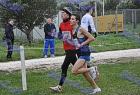 cross_0275