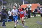 cross_0314