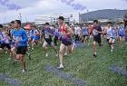cross_0385