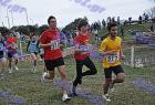 cross_0399