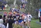 cross_0404
