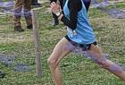 cross_0412
