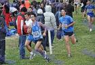 cross_0414