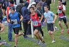 cross_0420