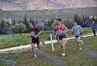 cross_0443