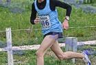 cross_0454