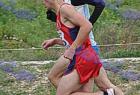 cross_0459